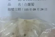進口蔬果連環出包！白蘿蔔芬普尼超標1倍遭退運