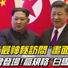 習近平抵平壤展開兩天國是訪問 金正恩伉儷迎接 蔡奇.王毅都來了!  | 全球線上