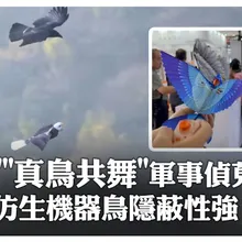 真鳥共舞軍事偵蒐 仿生機器鳥隱蔽性強｜大陸360°