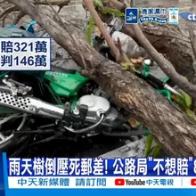 【每日必看】雨天樹倒壓死郵差! 公路局"不想賠"8旬母淚崩! 20260812