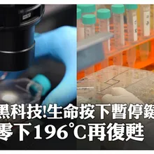 科幻成真!零下196℃"凍結生命"低溫保存新技術,解密極寒世界的生命密碼 | 大陸360