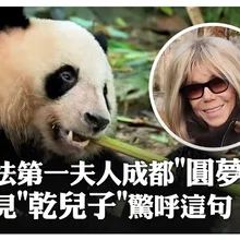 「圓夢」了!法第一夫人布麗吉特訪成都見"乾兒子"驚變胖:差點認不出 新一對大貓熊2027年赴法｜大陸360°