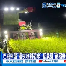 【每日必看】巴威來襲"連夜收割稻米" 稻農憂"割稻機不夠"救心血 20260708