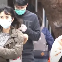 1/5迎小寒！3族群需留意　楊登嵙揭養生開運小撇步