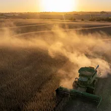 川普達成陸採購大豆協議　美農民：不能解決所有問題