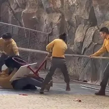 影/驚！杭州動物園黑熊表演突暴走　為搶胡蘿蔔撲襲飼養員
