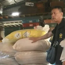 狡猾山老鼠盜肖楠木「製香粉海削百萬」　查扣456公斤贓物