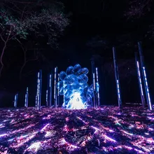 台南龍崎光節「空山祭」登場！14組裝置藝術照亮虎形山