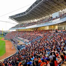 黃偉哲「So What」炎上！亞太棒球場爭議延燒　郭正亮：陳亭妃很尷尬