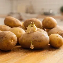 發芽馬鈴薯恐全面入台？多家量販店回應：未進口美國馬鈴薯！