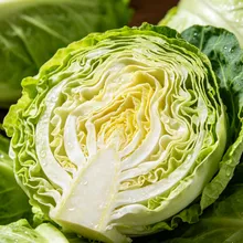 高麗菜別直接冰！日菜販曝「10秒保鮮法」放更久也不易爛