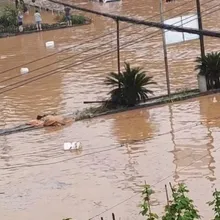 橙色警戒！重慶特大暴雨釀1死17失蹤　時雨量破百毫米