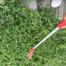 影/淡水運動中心旁驚見眼鏡蛇　動保處：別近水溝別亂抓