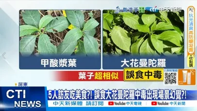 【每日必看】 5人訪友吃美食?! 誤食大花曼陀羅中毒出現場景幻覺?! 20251130