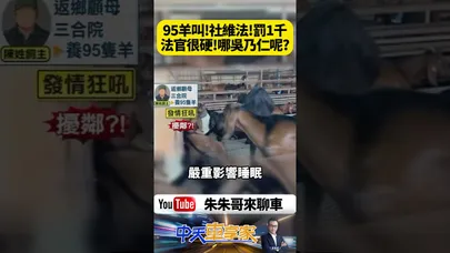 95隻羊半夜發情狂叫竟遭社維法開罰1000元 飼主不服提異議法院仍駁回【#朱朱哥來聊車】@中天車享家CtiCar  #抖音 #shorts