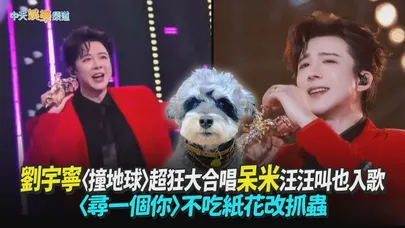 【撩星聞】劉宇寧〈撞地球〉超狂大合唱呆米汪汪叫也入歌 〈尋一個你〉不吃紙花改抓蟲