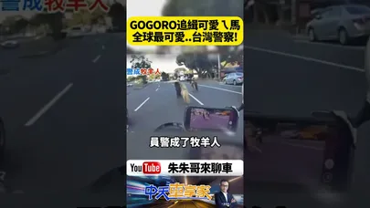我本來以為Gogoro已經是全球最可愛警車!台灣警察還要追逃脫可愛迷你馬!最萌追緝畫面曝光!【#朱朱哥來聊車】@中天車享家CtiCar #抖音 #shorts
