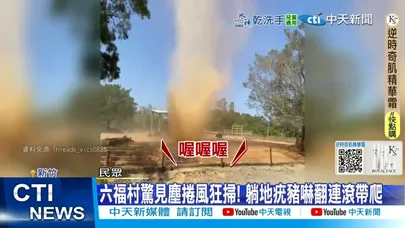 【每日必看】六福村驚見龍捲風狂掃! 躺地疣豬嚇翻連滾帶爬 20251019