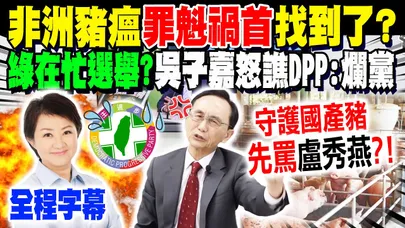 【全程字幕】"罵盧秀燕豬就不會死"?! 非洲豬瘟"罪魁禍首"找到了?! 吳子嘉怒譙"這政府"還在忙選舉...氣到轟這"2綠委"低X兒!  @dongsshow