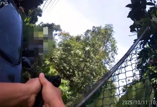 影/北市通緝男拒檢開車衝撞　見警拔槍秒舉手投降