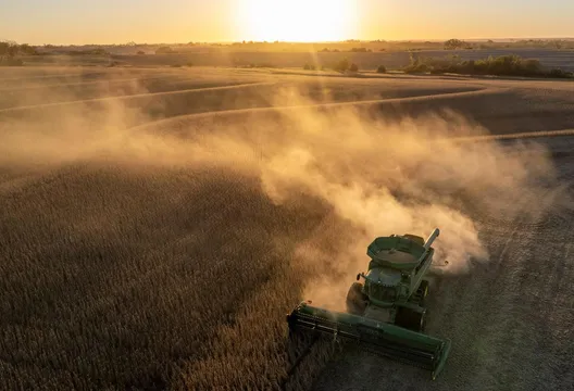 川普達成陸採購大豆協議　美農民：不能解決所有問題