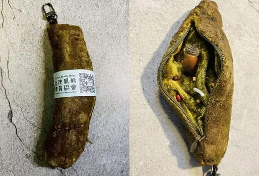 台灣黑熊便便鑰匙圈650元搶光　教育館公告：便秘中請等我