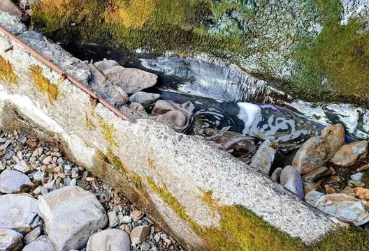 春雨救玉山排雲山莊！山澗重新出水　免再抽下方溪谷水源