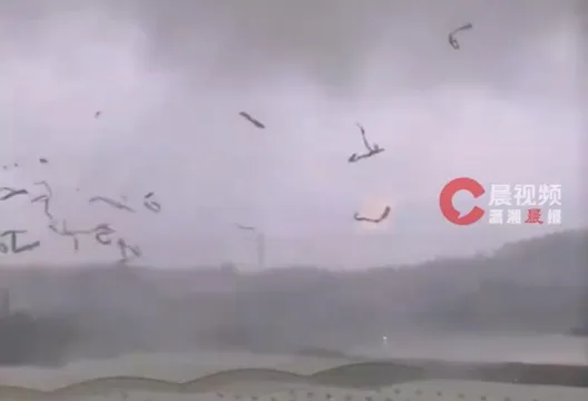 影/鐵皮空中飛!南寧遇龍捲風襲擊 觸電火花四射嚇壞眾人