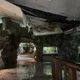 豪雨狂襲雙北！台北動物園樓梯變瀑布　爬蟲館暫停開放