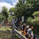 瑞芳小粗坑古道健行　4人遭蜂螫傷其中1人送醫