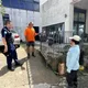 影/墾丁國家公園內宰殺梅花鹿　男辯「撿到死鹿」挨罰3000元