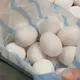 缺蛋又來了！農業部：高溫影響產量減少　整體供需在合理範圍內