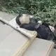 爺爺接孫下課回家　被社區「從天而降」木棍砸中身亡...兇手年僅8歲