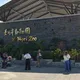 赴日一年半！台灣小貓熊「可頌」傳噩耗　保育員心碎了