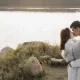 4生肖男「最怕老婆」！婚後乖巧聽話　從不敢發脾氣