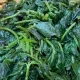 肝癌男狂吃地瓜葉「8顆腫瘤奇蹟消失」!醫曝:營養價值超高