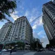 OURs批青安3.0換湯不換藥：五大病灶未解　精準補貼全落空