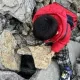 5歲弟爬山撿到「怪石頭」　專家鑑定證實：5億年前古生物化石