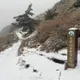 急凍！西部沿海、花東縱谷僅剩7.5度　3高山有望降雪