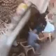 影/火葬場圍牆突倒塌...聊天男女命喪石礫堆　2女童「路過」被壓死