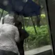 搞錯恐罰6000元！雨傘壞掉怎麼丟？各縣市規定一次看