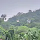 旅客注意！貓空纜車系統異常暫停營運　北捷啟動公車接駁