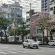 偽造車牌加倍罰！最重罰7萬2千　還可當場沒入車輛