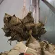 公車司機停車買粽子「乘客也順便」　網笑：移動帶貨王