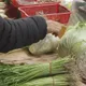 颱風後菜價大噴發！高麗菜批發價飆破84元「暴漲逾1倍」