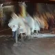 影/花蓮光復高職淹水200人受困　凌晨搜救人員協助撤離