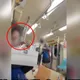 北捷踹嬤男出身台大高材生　學妹：在校是「優雅小姐姐」