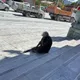 為什麼是我活下來？　花蓮災民恐面臨4大身心考驗