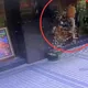 影/北市30歲男心靈療癒疑遭虐死　創辦人等4人涉案