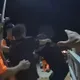 影/中秋黃魚價飆！金門漁民爭釣點　船上打到下船還撞傷海巡